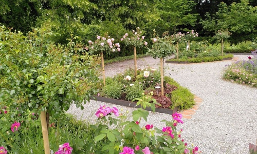 Laubengang im Rosengarten