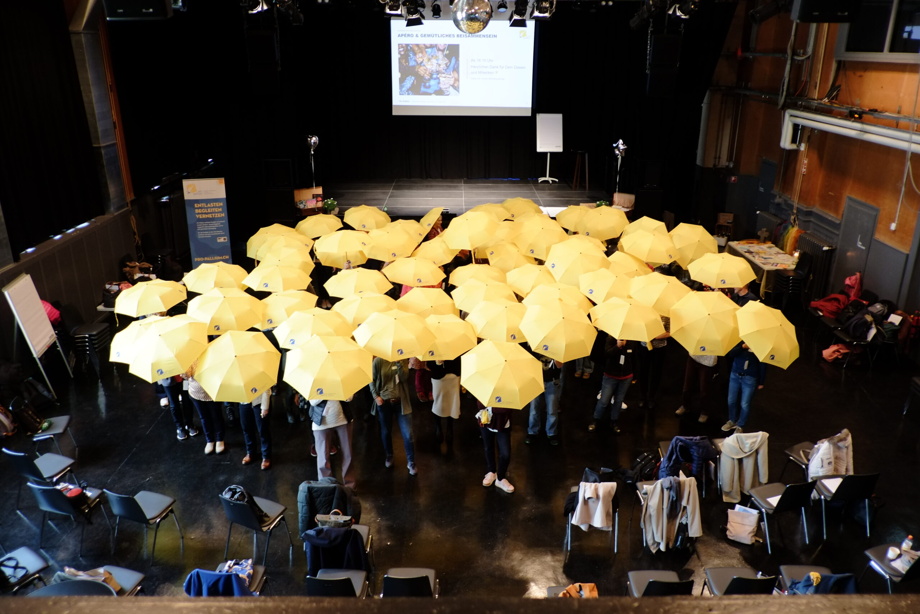 Pro Pallium Regenschirm und persönliche Heldenurkunde