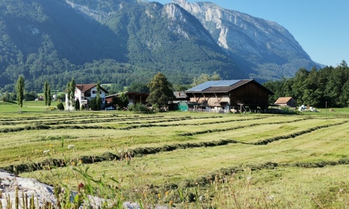 Neue Allee für den Chronehof