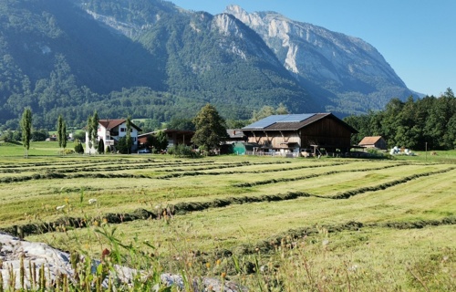 Neue Allee für den Chronehof