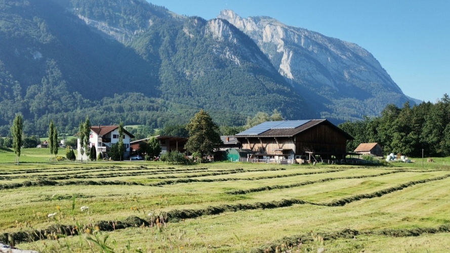 Neue Allee für den Chronehof