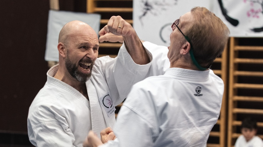 Wir bauen ein Karate Dojo ⛩️