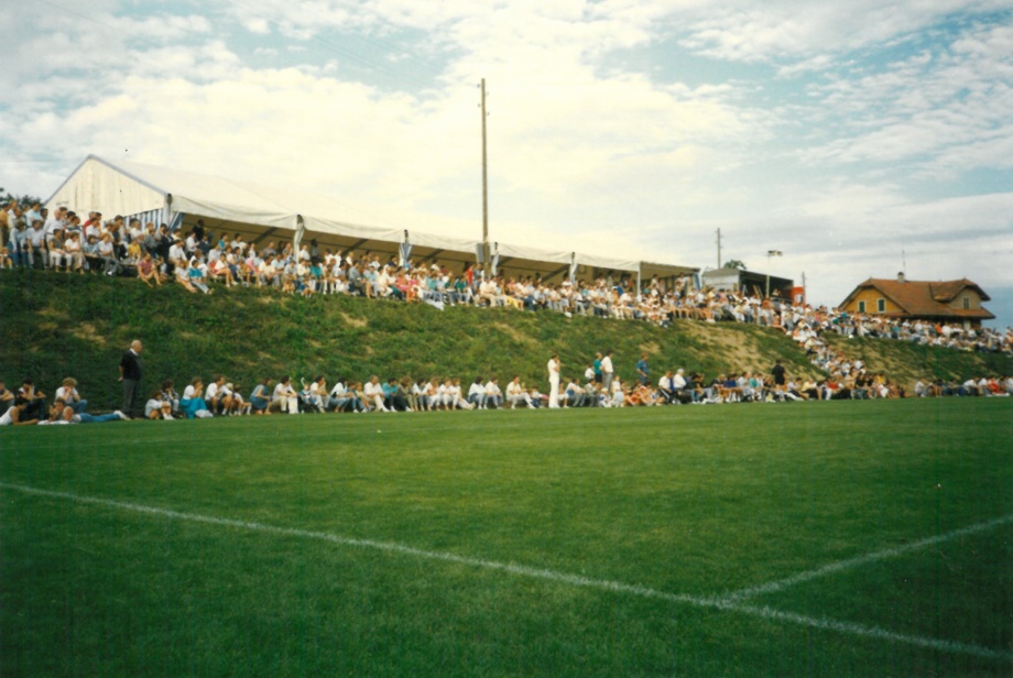 HSV-Fan