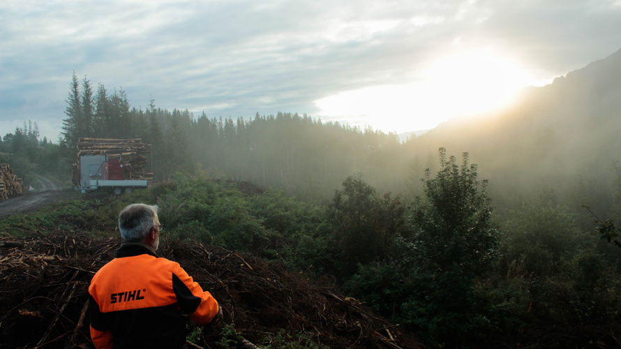 Waldarbeitswoche Naturfreunde Schweiz