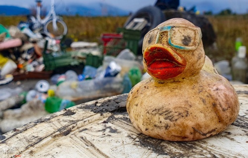 7. Grosse Around The Bodensee CleanUp 2024 - Mikroplastik