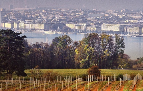 Banque Raiffeisen Villes et Vignobles genevois