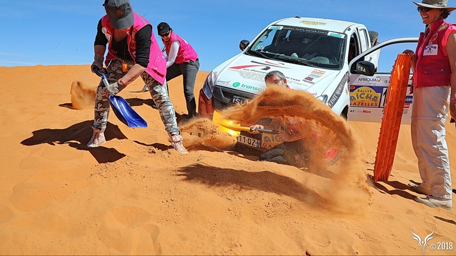 Les amazones des sables