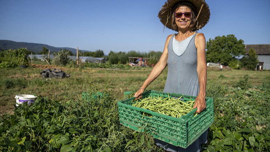 La Clef des Champs : un modèle agricole engagé