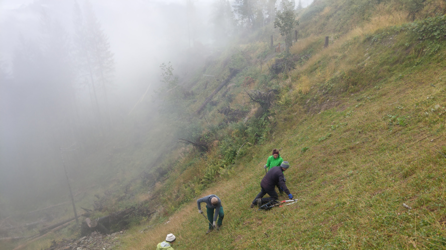 Waldarbeitswoche Naturfreunde Schweiz