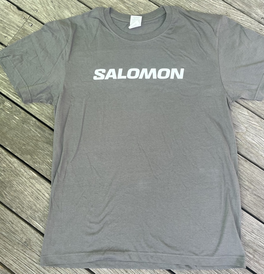 T-Shirt Salomon, gris, taille M