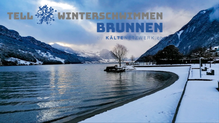 Tell-Winterschwimmen in Brunnen