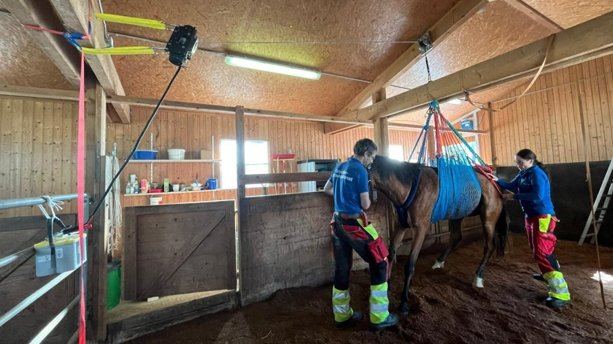 Grosstier-Rettungsdienst CH/FL Ambulanzausbau Thurgau